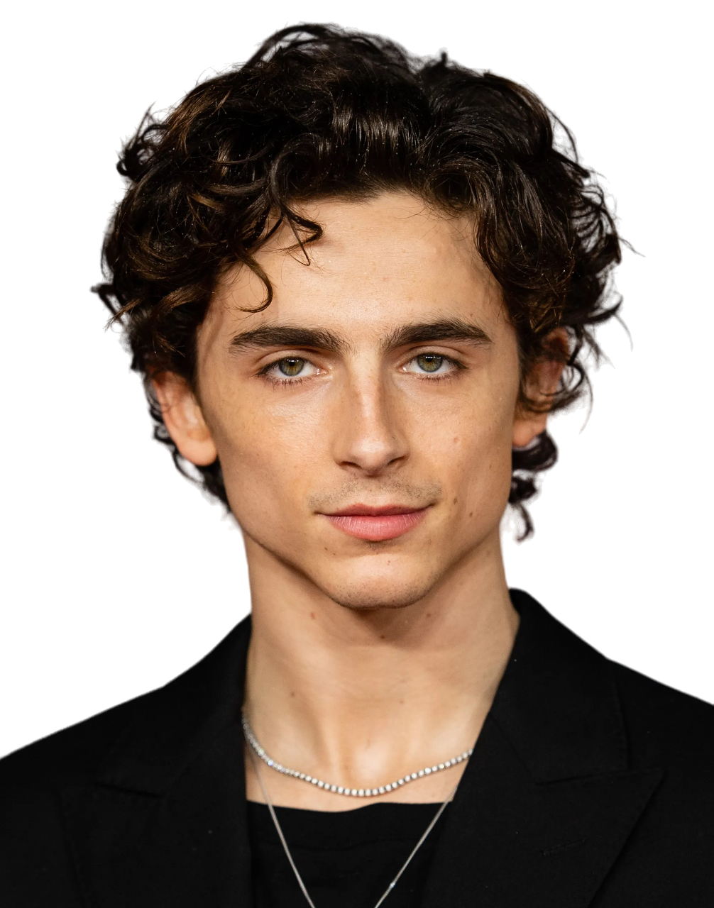 Imagen de Timothee Chalamet